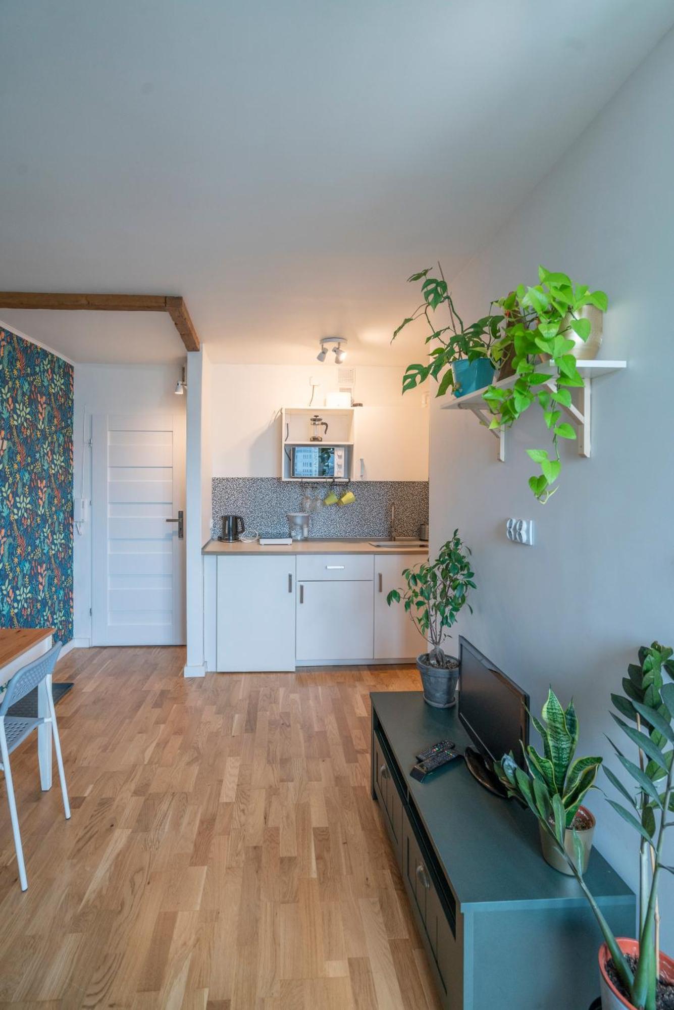 Green Studio In The City Center Of Βρότσλαβ Εξωτερικό φωτογραφία